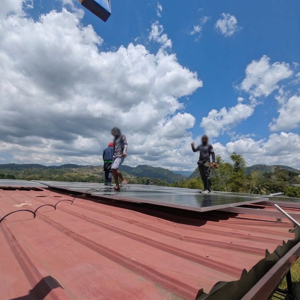 Leo & Dolly Roof panels completed